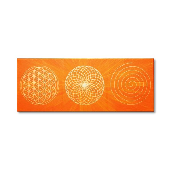 Wandbild Energiebild Energiebahnen Spirale Blume des Lebens gold orange Frontbild